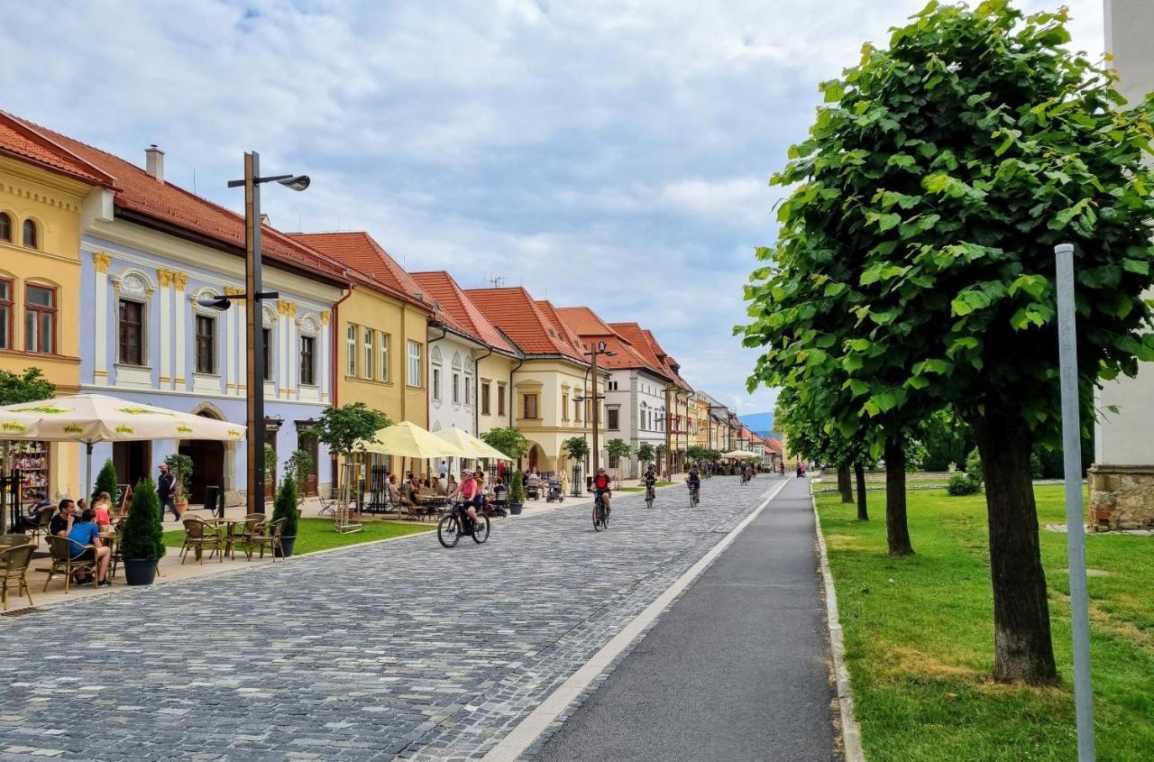 Apartment In A Historical House In The Center Of Levoča Exteriör bild